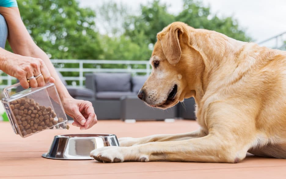 Pet Food